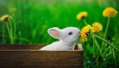 C罗成最大赢家!曾称沙特强于法甲被群嘲,如今新月逼平皇马正名